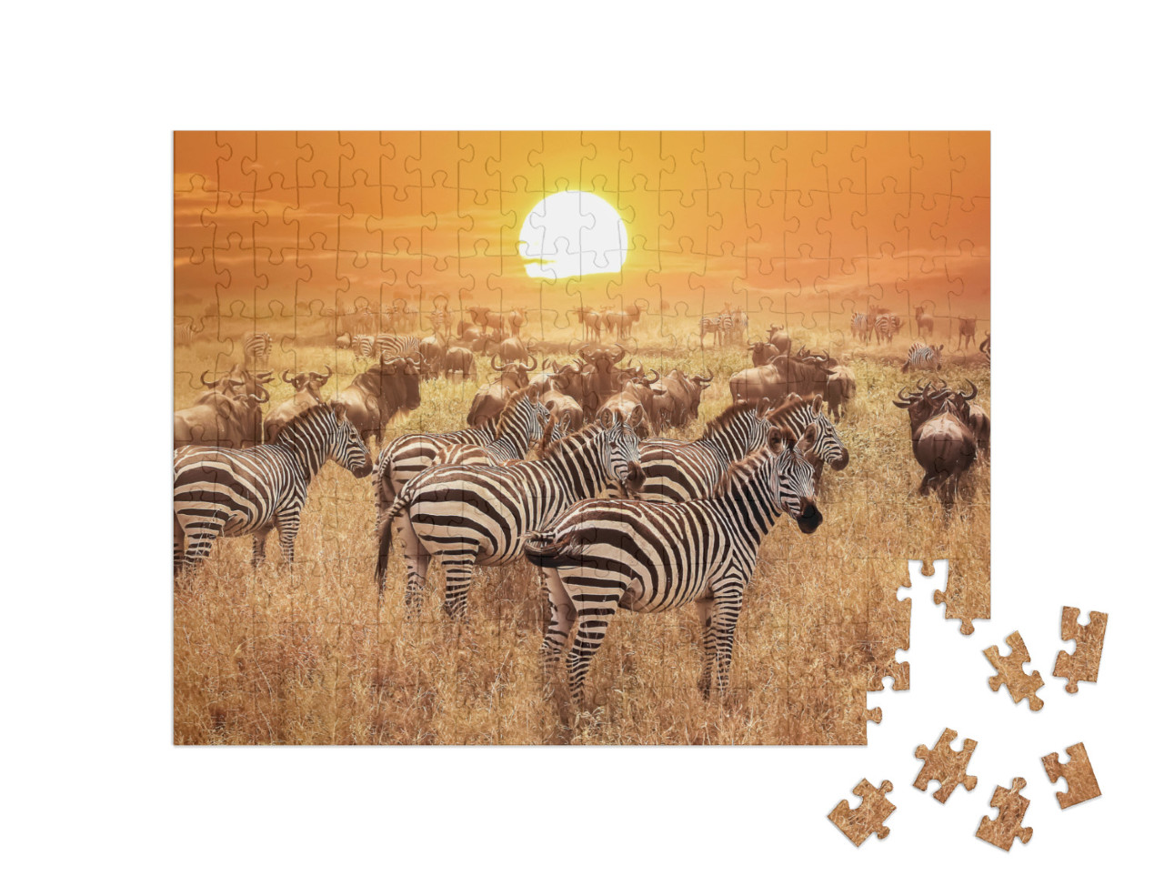 Puzzle 200 pezzi „Zebra al tramonto nel Parco Nazionale del Serengeti, Africa, Tanzania“