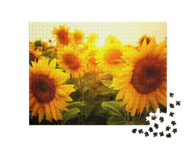 Puzzle 1000 pezzi „Un campo di girasoli al sole“