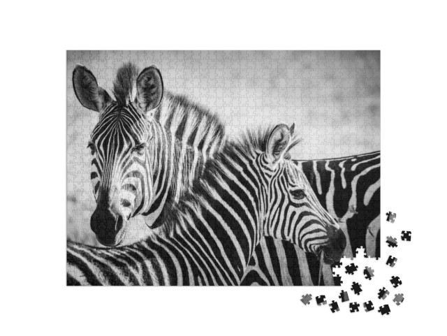 Puzzle 1000 pezzi „Madre e piccolo di zebra nel Parco Nazionale del Serengeti“