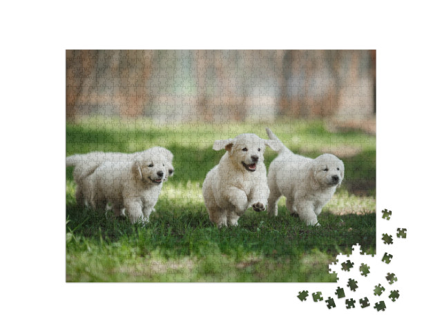 Puzzle 1000 pezzi „Cuccioli di golden retriever nel parco“