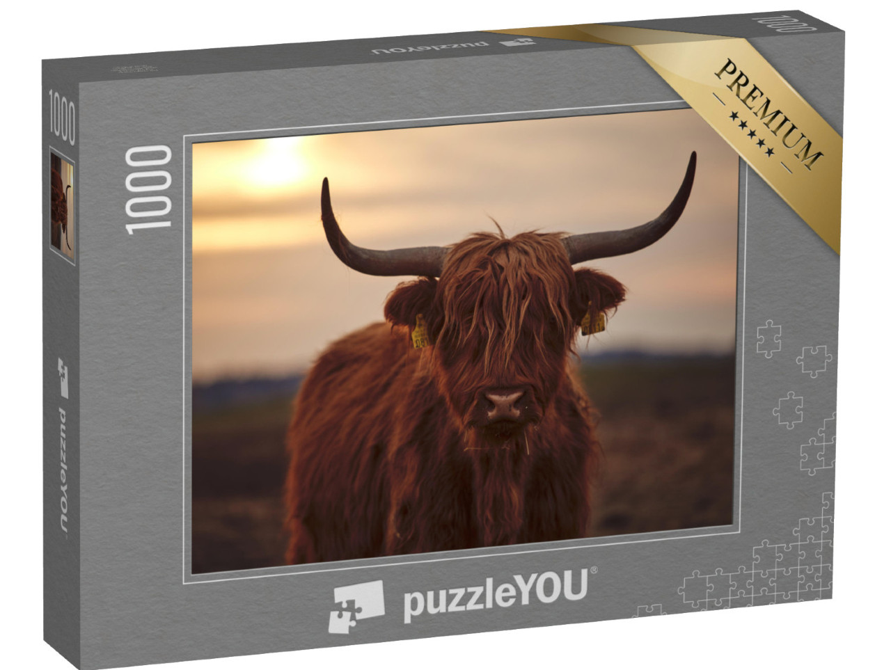 Puzzle 1000 pezzi „Giovane bovino Highland scozzese“