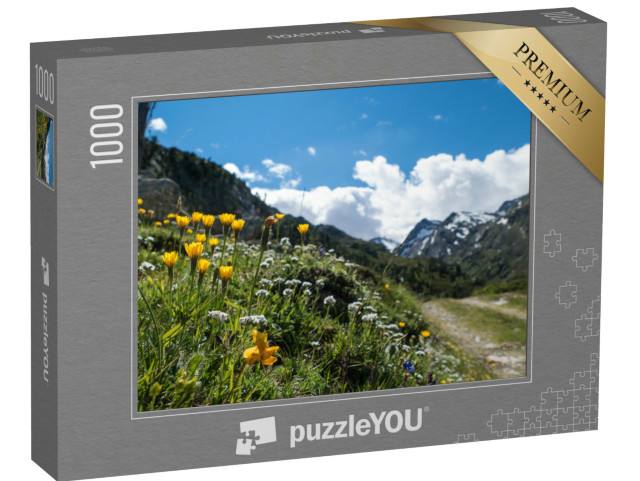 Puzzle 1000 pezzi „Un paesaggio estivo di straordinaria bellezza nelle Alpi della Ötztal“