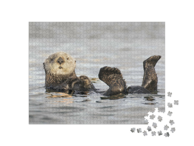 Puzzle 1000 pezzi „Lontra marina californiana dal muso bianco“