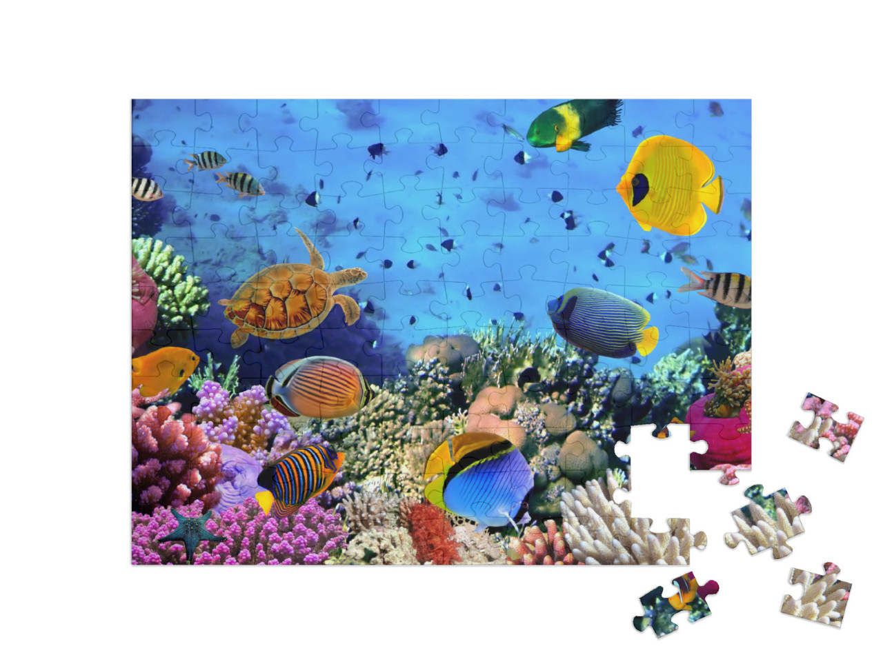 Puzzle 100 pezzi „Colonia di corallo nel Mar Rosso, Egitto“