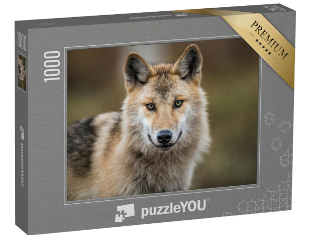Puzzle 1000 pezzi „Ritratto di un lupo grigio, noto anche come lupo dei boschi“