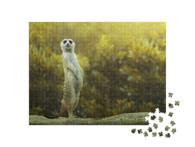 Puzzle 1000 pezzi „Meerkat in piedi sulla pietra“