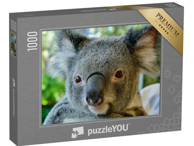 Puzzle 1000 pezzi „Bellissimo ritratto di un koala“