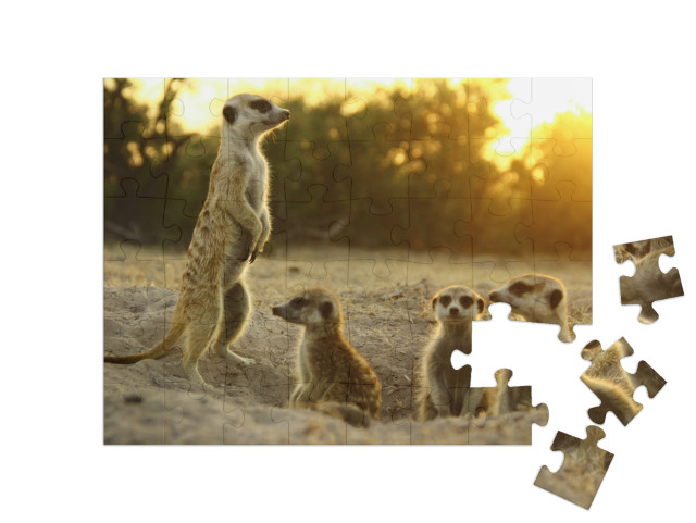 Puzzle 48 pezzi „I suricati nel loro habitat naturale“