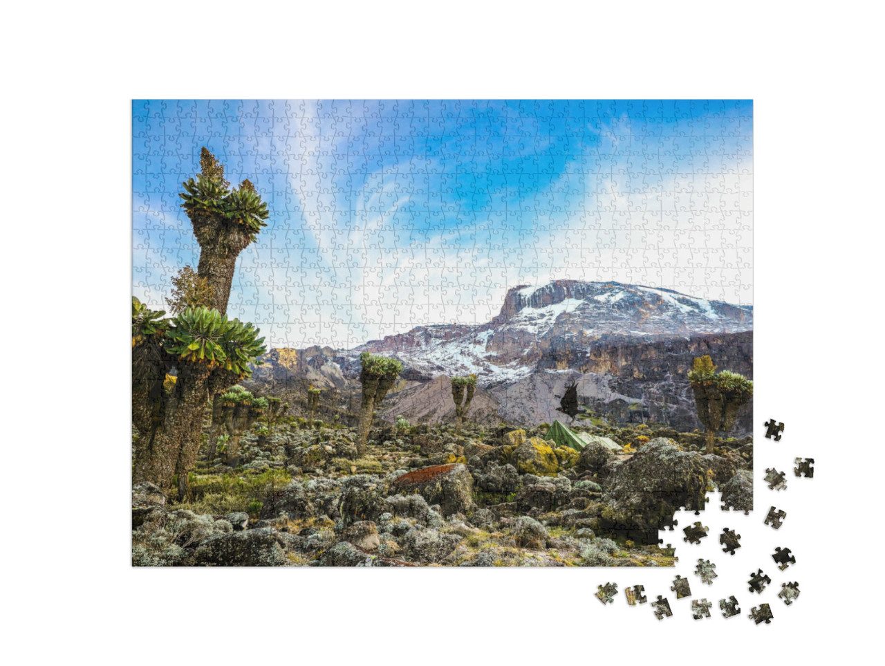 Puzzle 1000 pezzi „Campeggio in tenda sul Kilimangiaro per vedere i ghiacciai, Africa“