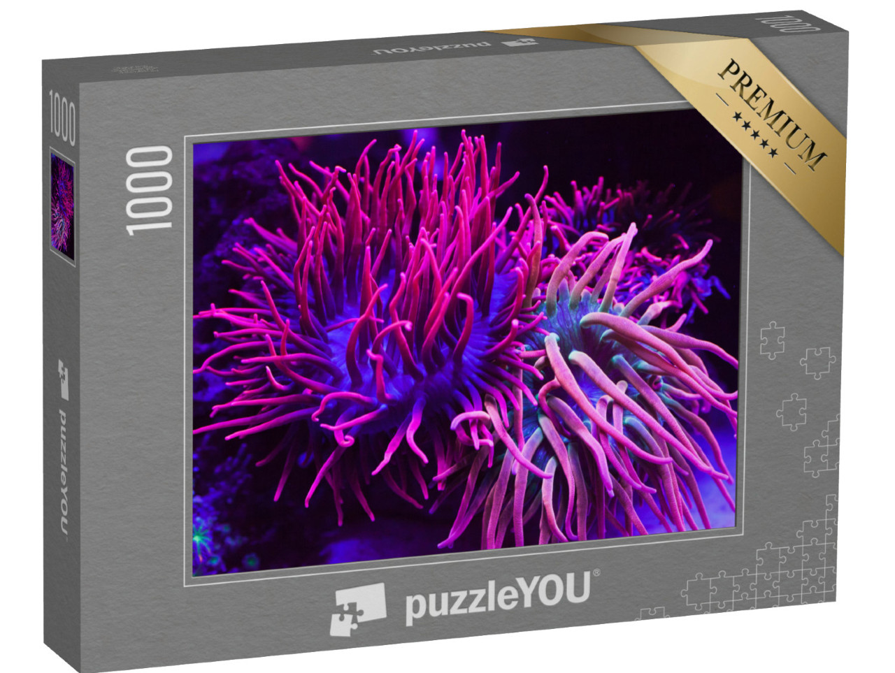 Puzzle 1000 pezzi „Coralli viola brillanti in acquario“