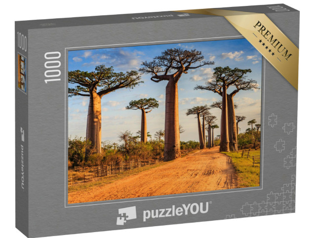 Puzzle 1000 pezzi „Alberi di baobab unici nel viale dei baobab, Madagascar“