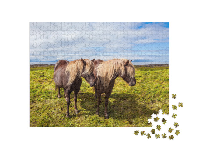 Puzzle 1000 pezzi „Cavalli islandesi nella thundra estiva dell'Islanda“