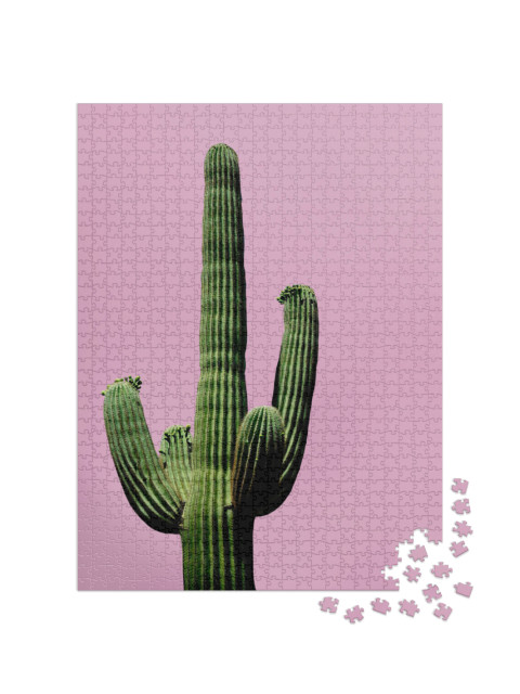 Puzzle 1000 pezzi „Vista minimalista: cactus su sfondo rosa“