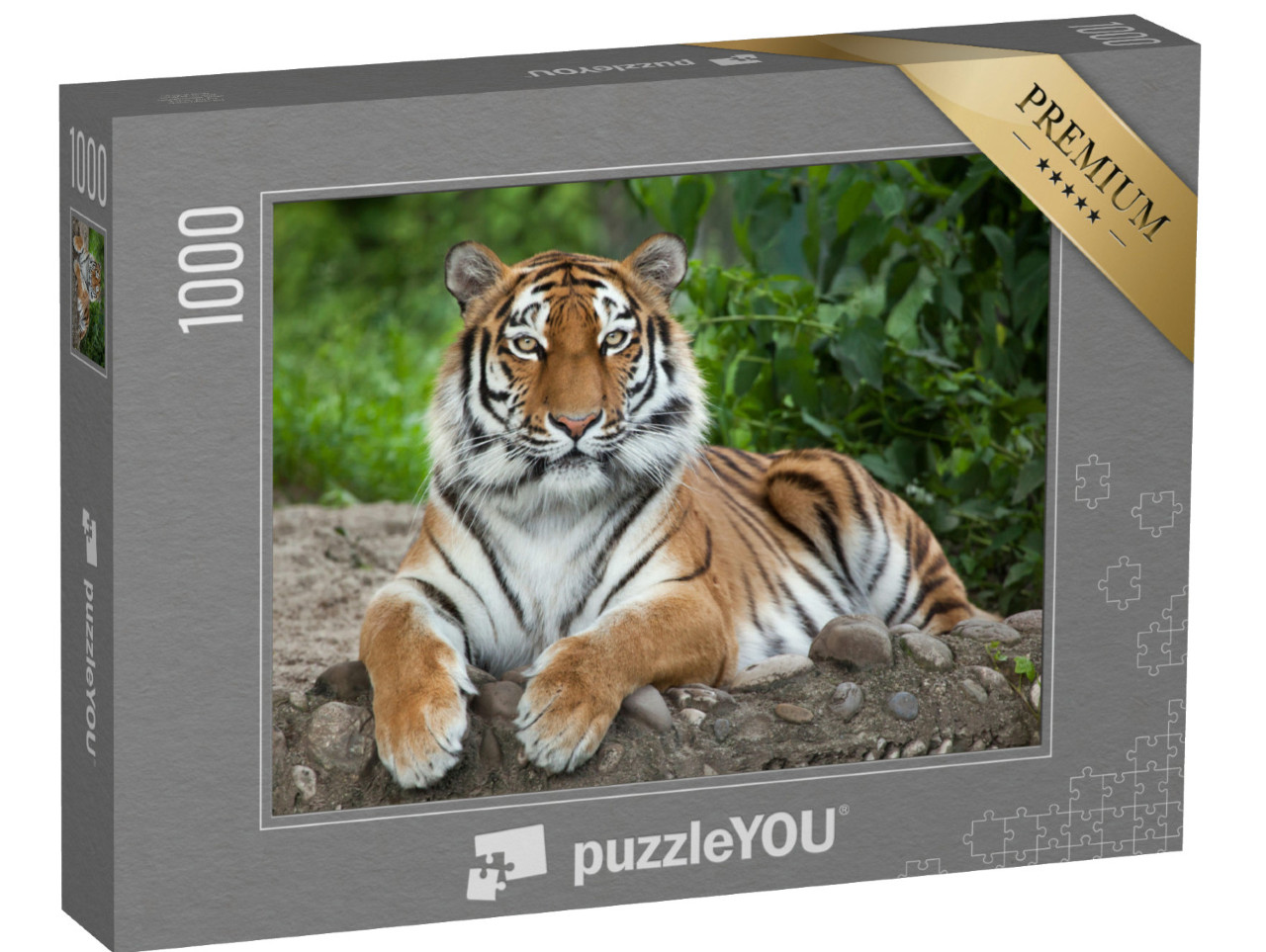 Puzzle 1000 pezzi „Tigre siberiana, nota anche come tigre dell'Amur“