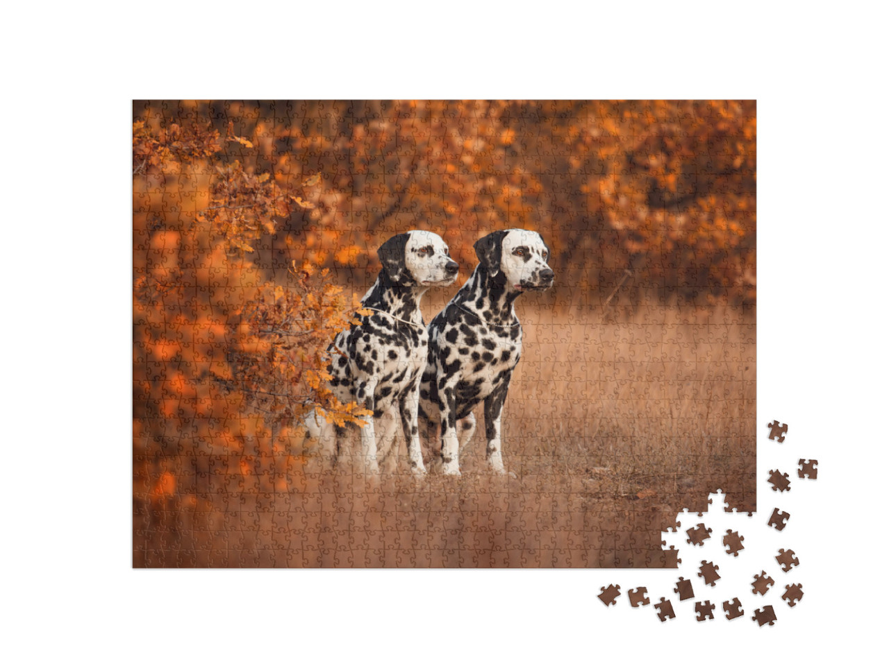 Puzzle 1000 pezzi „Due dalmata a passeggio“