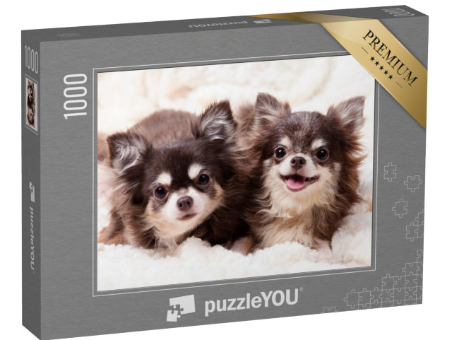 Puzzle 1000 pezzi „Cani Chihuahua carini su una coperta“