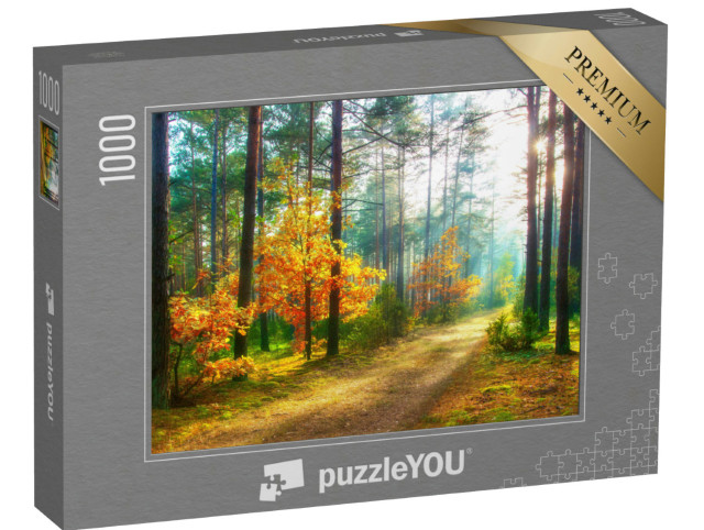 Puzzle 1000 pezzi „Paesaggio forestale in autunno“