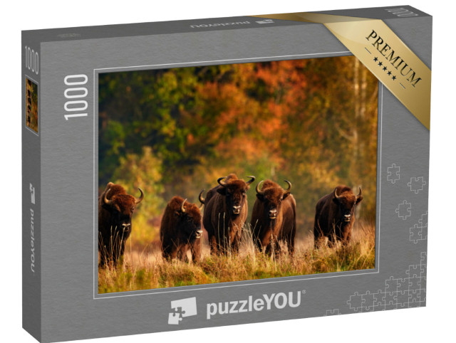 Puzzle 1000 pezzi „Foresta autunnale con gregge su prato in Polonia“