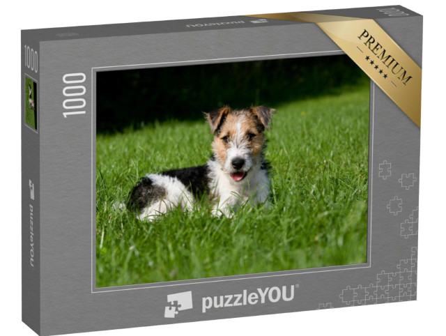 Puzzle 1000 pezzi „Cucciolo di fox terrier a pelo corto nell'erba“