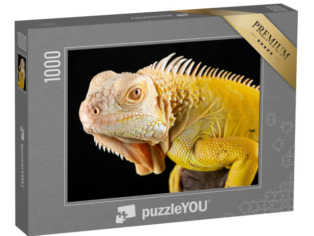 Puzzle 1000 pezzi „Primo piano di un'iguana gialla albina“