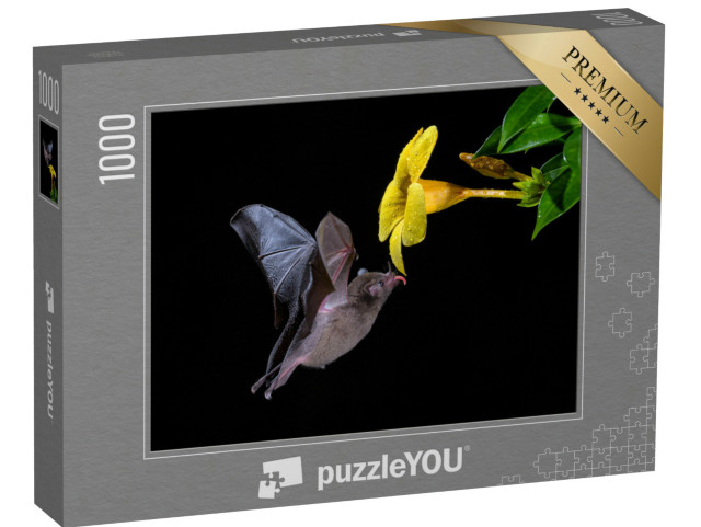 Puzzle 1000 pezzi „Pipistrello dalla coda lunga di Pallas che gusta il nettare di un fiore“