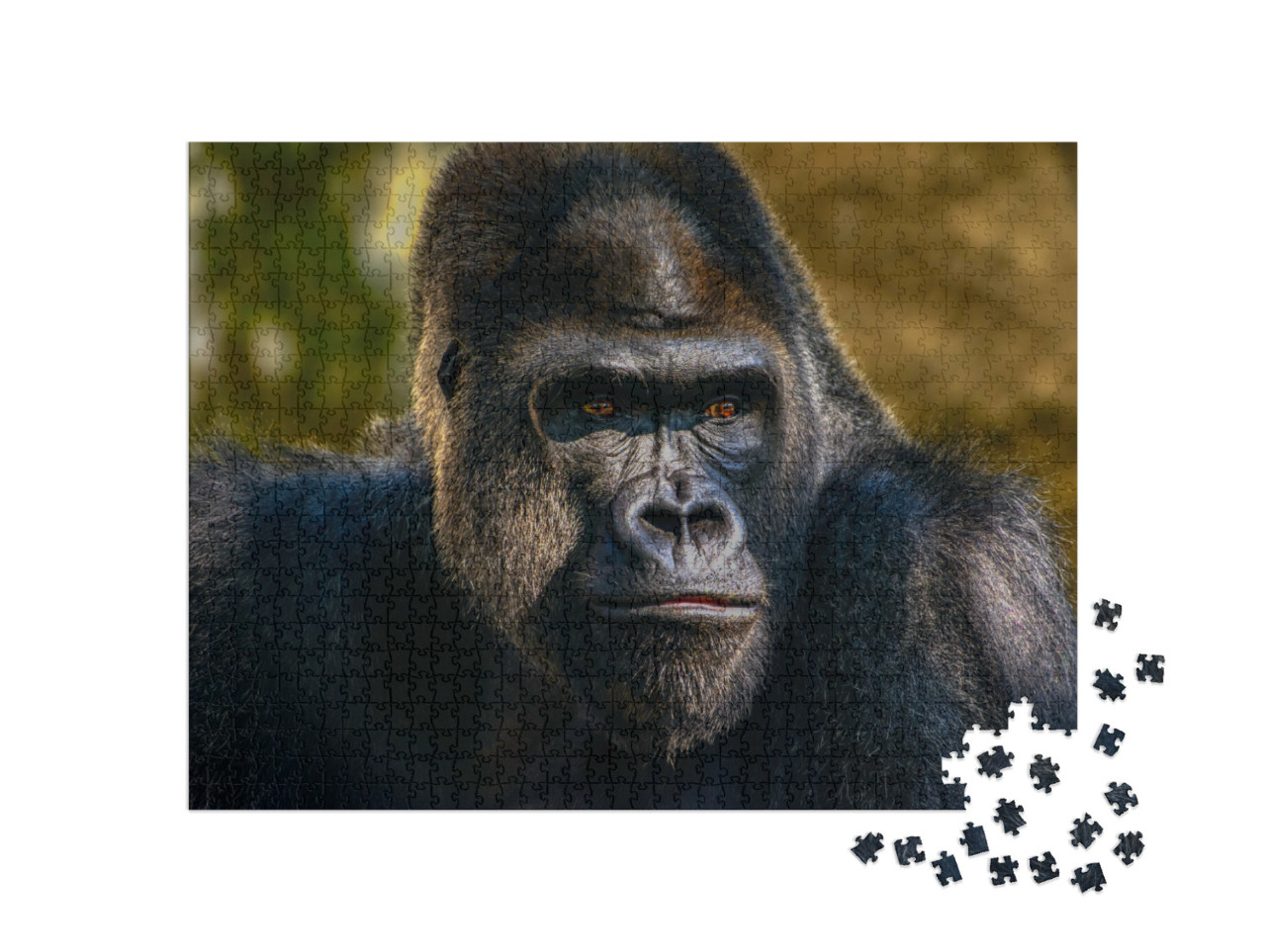 Puzzle 1000 pezzi „Ritratto di un gorilla silverback“