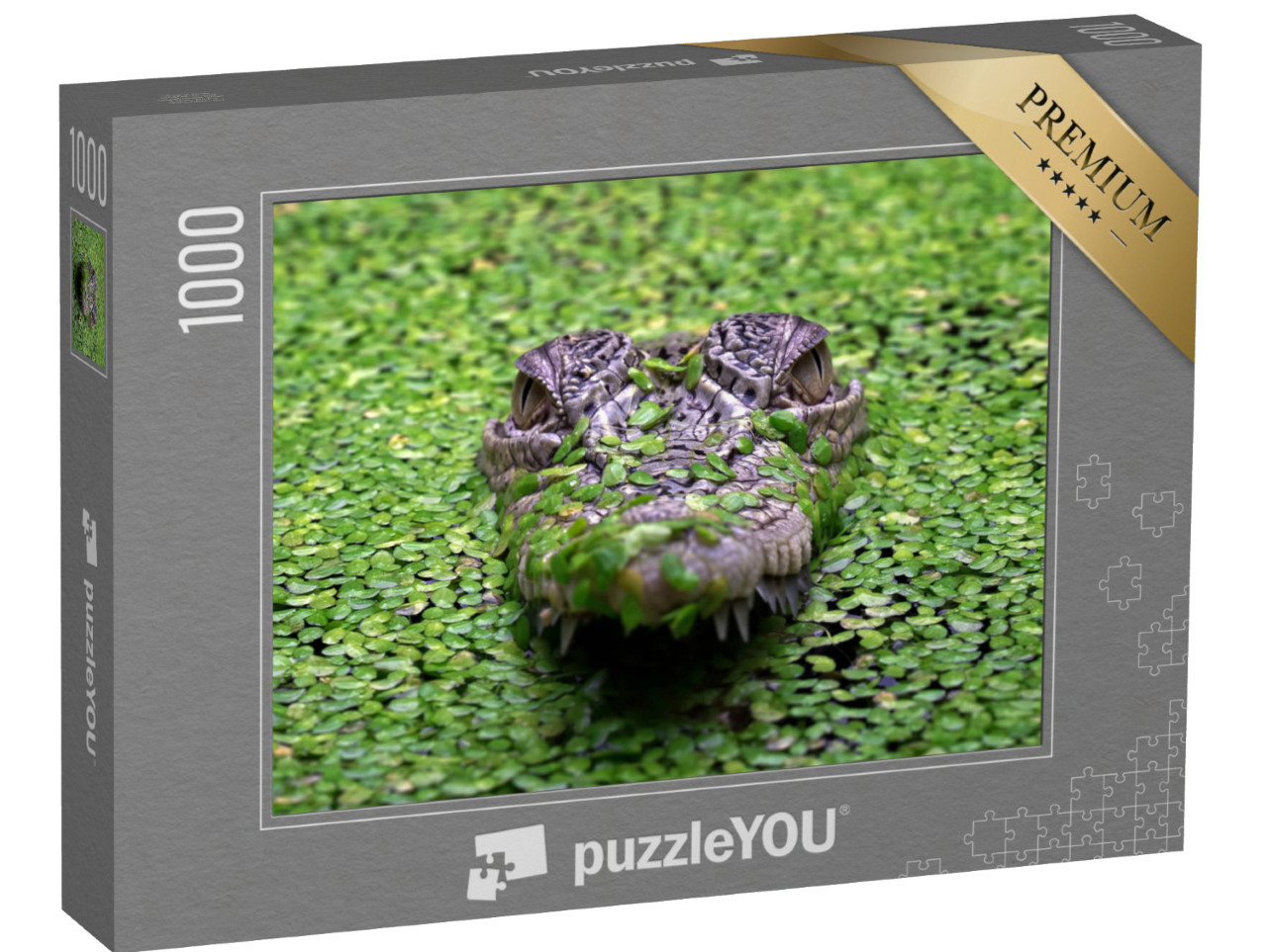 Puzzle 1000 pezzi „Il coccodrillo d'acqua salata, Crocodylus porosus“