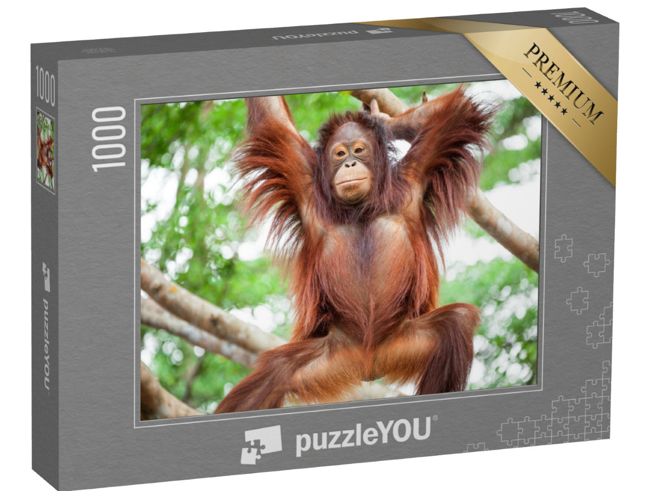 Puzzle 1000 pezzi „Orangutan“