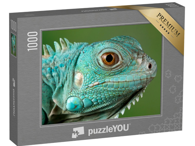 Puzzle 1000 pezzi „Iguana blu“