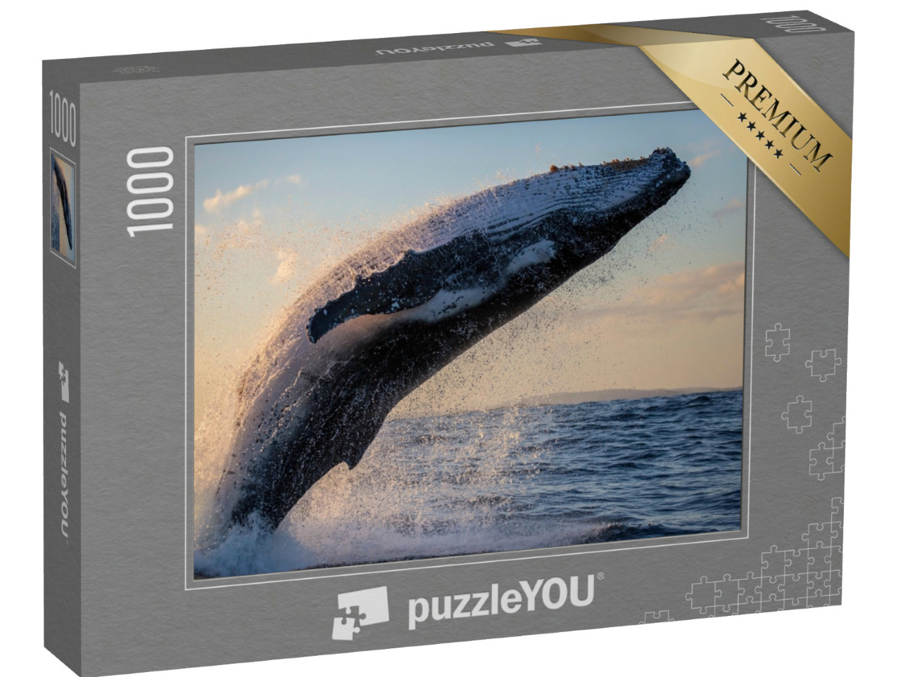 Puzzle 1000 pezzi „Primo piano di una megattera al tramonto al largo del porto di Sydney“