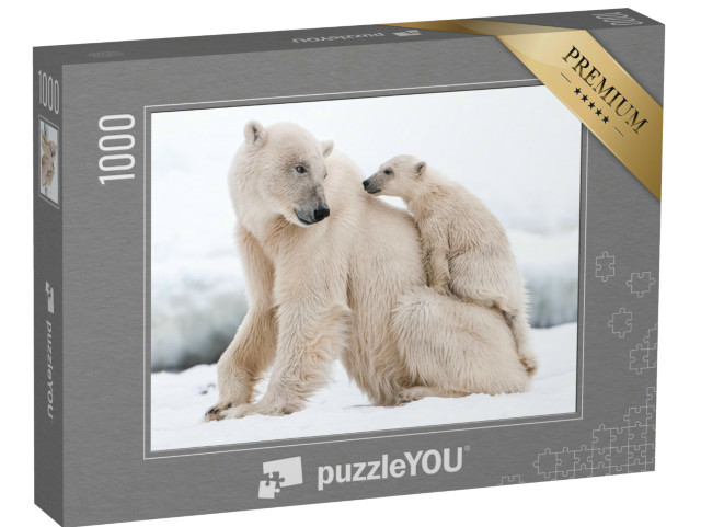 Puzzle 1000 pezzi „L'orso polare, predatore dell'Artico settentrionale“