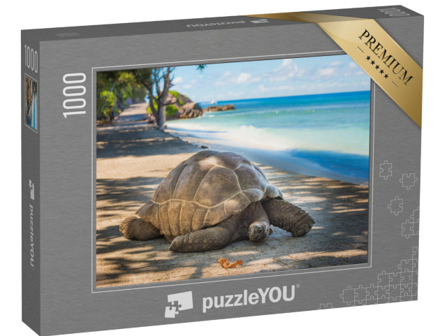 Puzzle 1000 pezzi „Tartaruga gigante delle Seychelles“