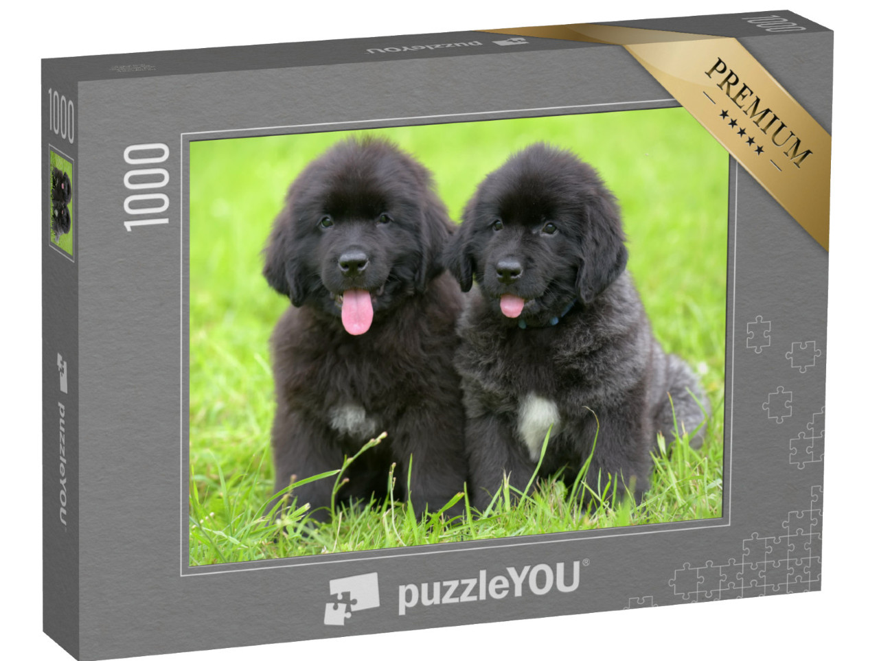 Puzzle 1000 pezzi „Due piccoli cuccioli neri di Terranova“