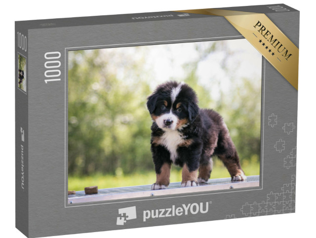 Puzzle 1000 pezzi „Carino il cucciolo di cane da montagna bernese“