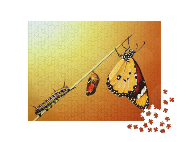 Puzzle 1000 pezzi „La trasformazione di una farfalla“