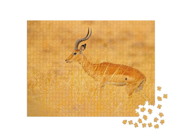 Puzzle 1000 pezzi „Antilope in mezzo alla savana erbosa, Sudafrica“