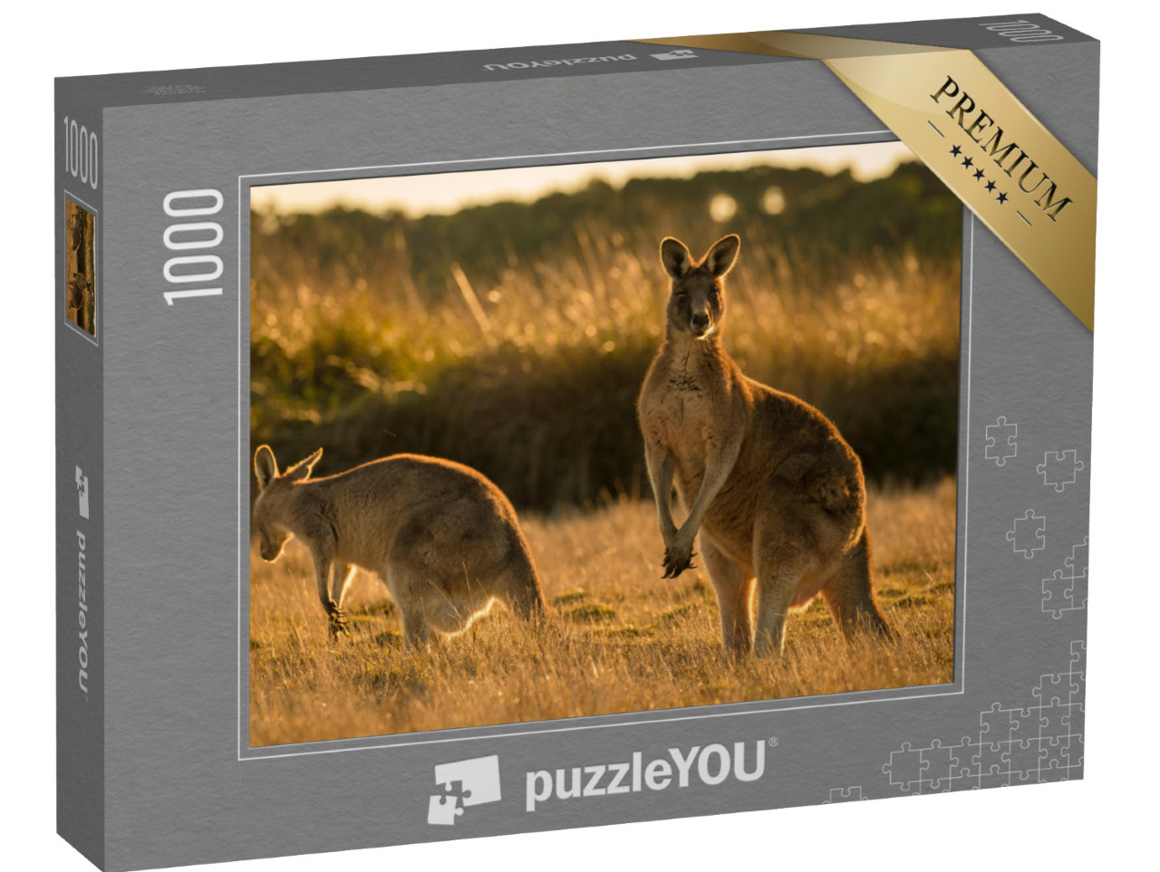 Puzzle 1000 pezzi „Canguro al tramonto, in campo aperto“