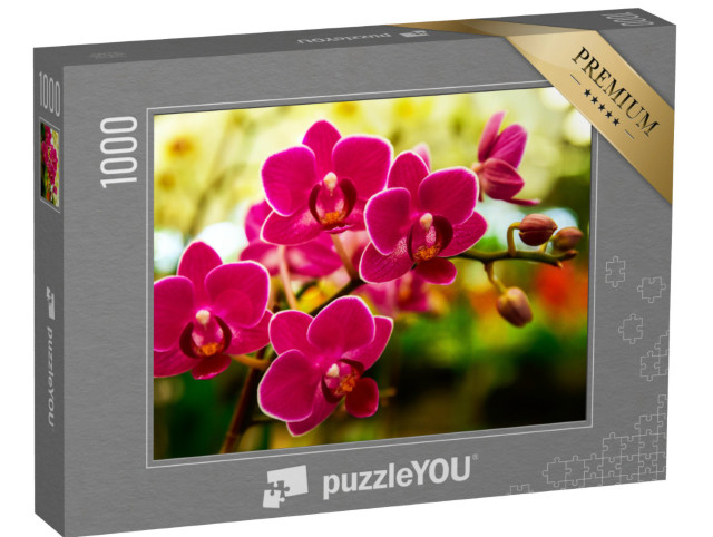 Puzzle 1000 pezzi „Orchidee rosa“