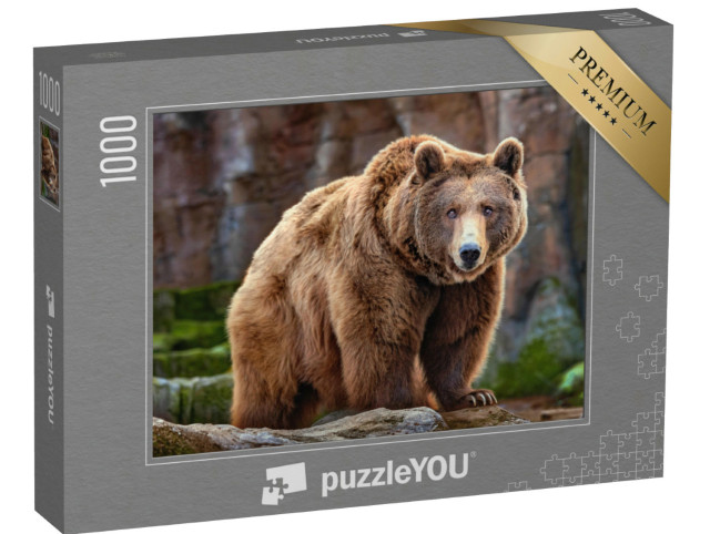 Puzzle 1000 pezzi „Un grande orso bruno“
