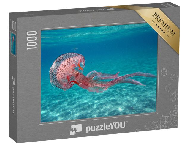 Puzzle 1000 pezzi „Medusa Pelagia noctiluca nel mare dell'isola d'Elba“