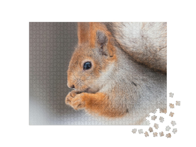 Puzzle 1000 pezzi „Scoiattolo con noci“