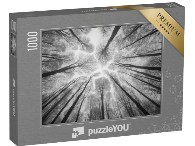 Puzzle 1000 pezzi „Fotografia astratta: alberi che svettano nel cielo nebbioso“