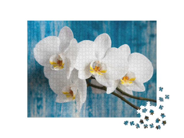 Puzzle 1000 pezzi „Orchidea bianca“