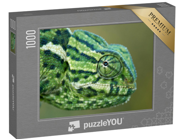 Puzzle 1000 pezzi „Un camaleonte“