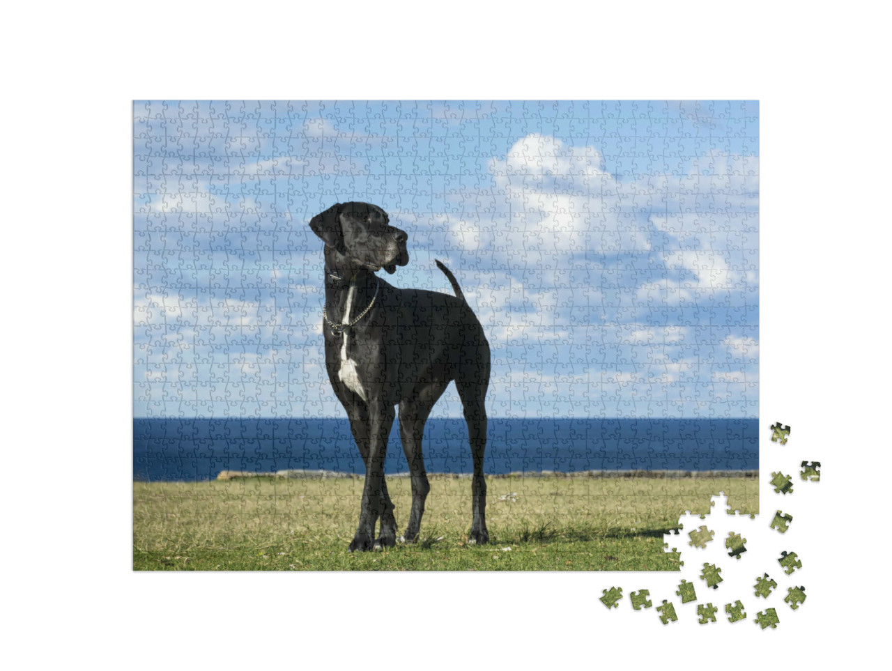 Puzzle 1000 pezzi „Alano in riva al mare“