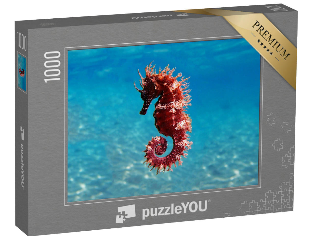 Puzzle 1000 pezzi „Scena marina: cavalluccio marino mediterraneo, Hippocampus guttulatus“