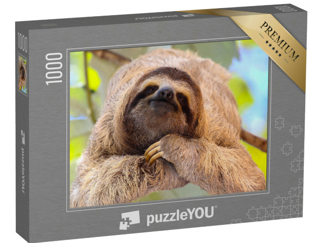 Puzzle 1000 pezzi „Bradipo soddisfatto“