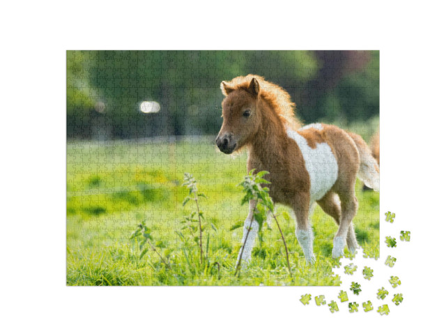 Puzzle 1000 pezzi „Un grazioso puledro Shetland esplora il mondo“