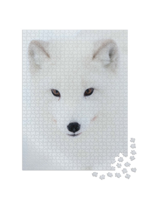 Puzzle 1000 pezzi „Lo sguardo di una volpe artica“
