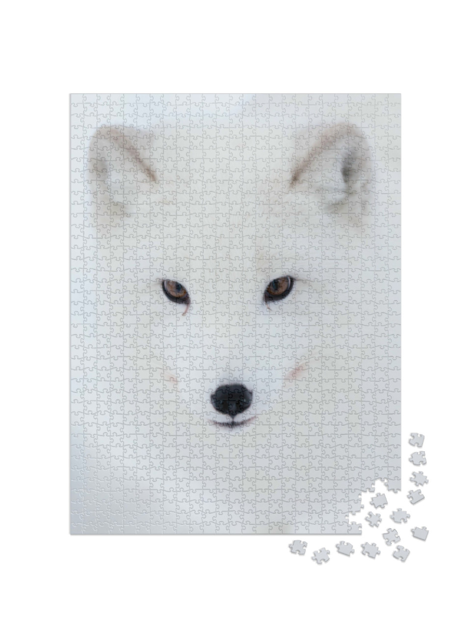 Puzzle 1000 pezzi „Lo sguardo di una volpe artica“